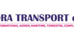Freight Forwarding Maroc : Transport International Fiable